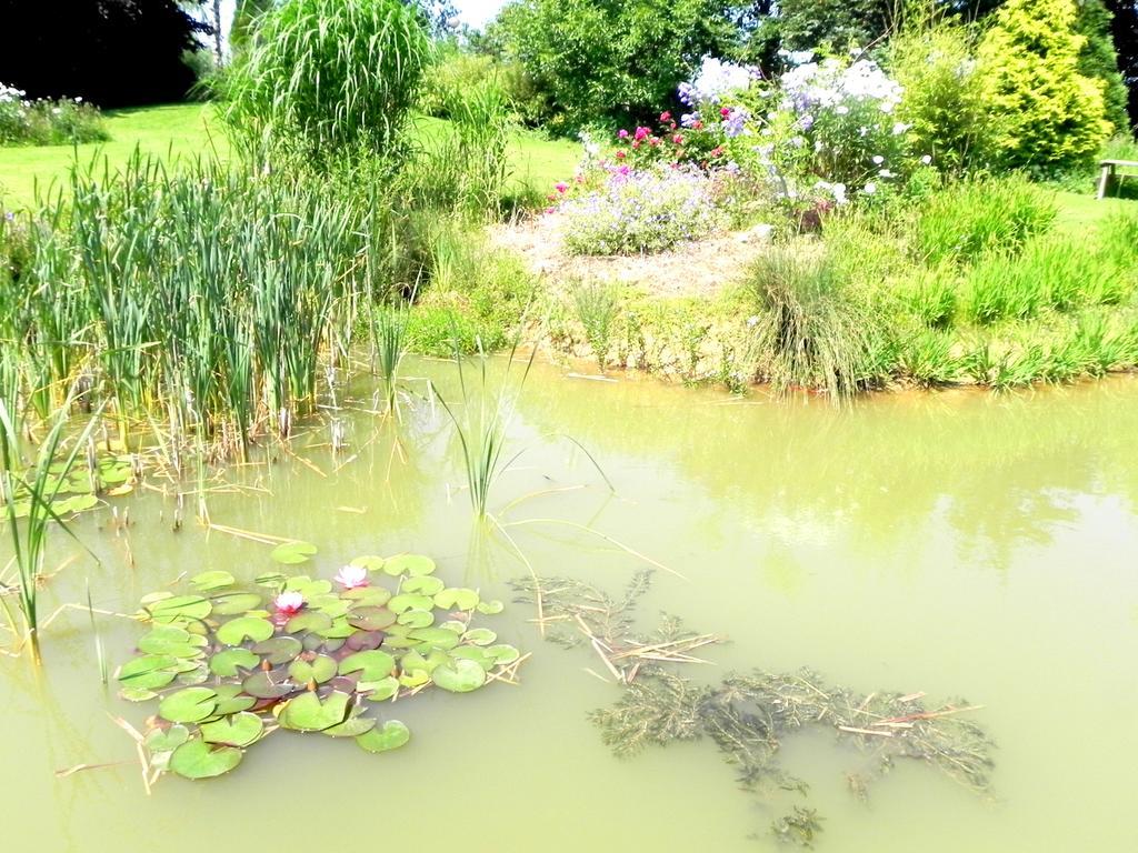 Bed and Breakfast Les Charmilles Hazebrouck Exteriér fotografie